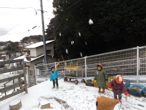 DSCF5460